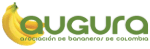 Augura